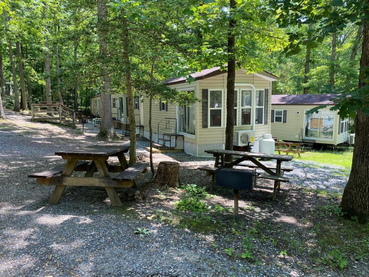 The Vintage Rv'S At Wilderness Presidential Camp Resort By Tripforth Spotsylvania Exteriér fotografie