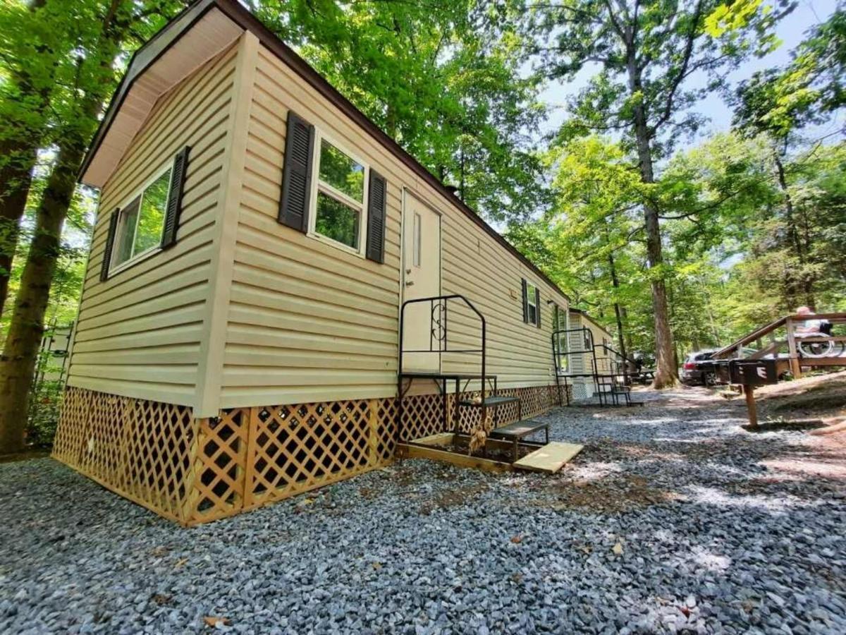 The Vintage Rv'S At Wilderness Presidential Camp Resort By Tripforth Spotsylvania Exteriér fotografie